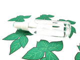 Basil Scented Perfume