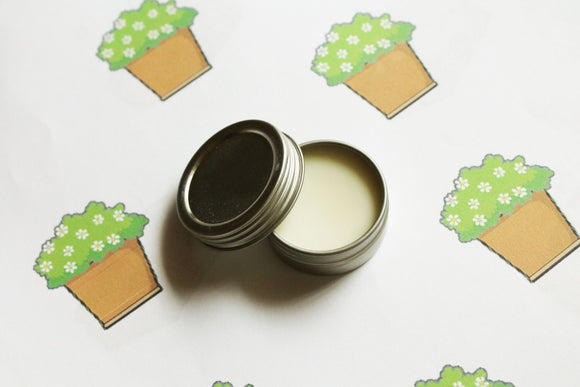 House Plant Scented Lip Balm - Natural Shea Butter  Lip Balm - Cocoa Butter - Lip Balm Tin - Lip Balm Favors - Matte Lipstick