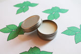 Basil Scented Lip Balm, Shea Butter Lip Balm, Lip Balm Tin, Lip Balm Favors,, Valentines Gift