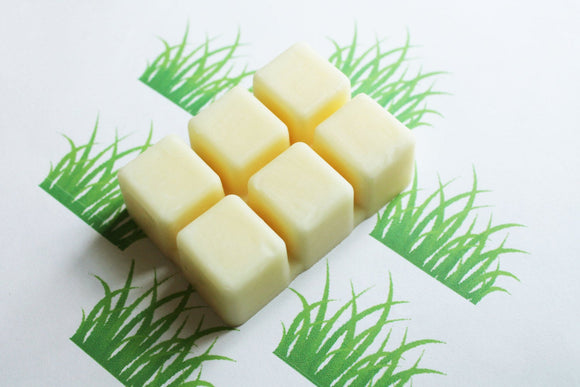 Fresh Cut Grass Scented Melts, Natural Vegan Soy Wax, Soy Wax Melts, Soy Tarts