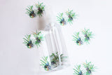 Juniper Scented Perfume Spray
