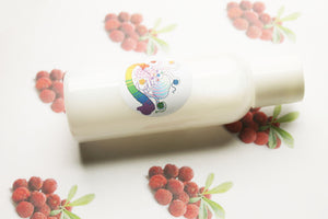 Bayberry Lotion, Handmade Scented Vegan Lotion, Body Lotion, Face Lotion